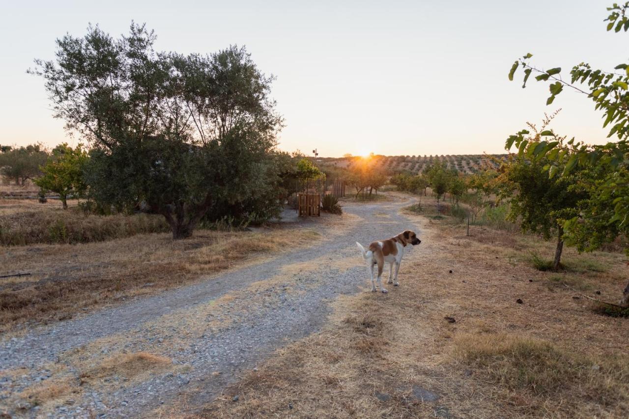 Monte da Estrela - Country House&SPA Moura Exterior foto